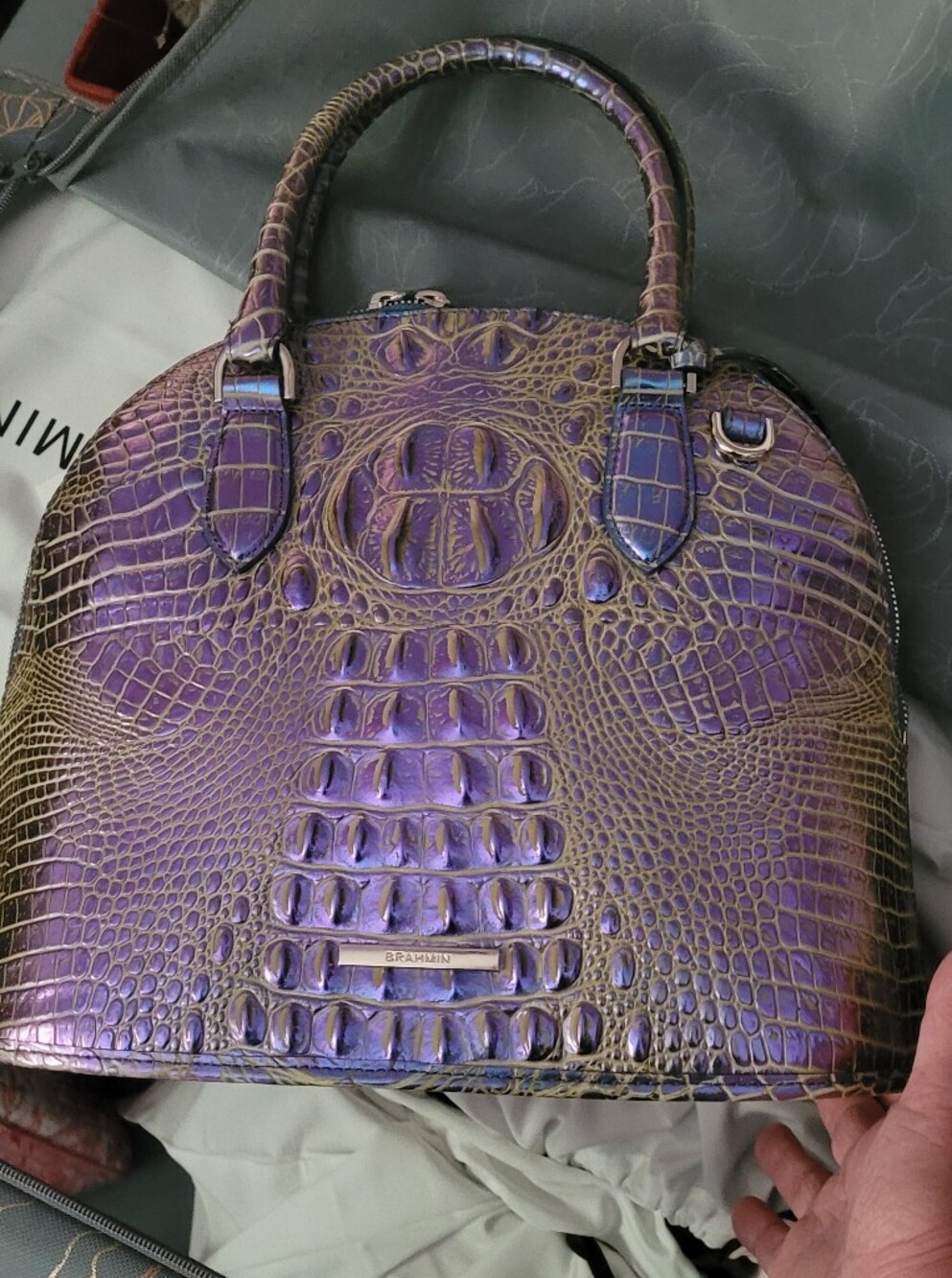 Brahmin Iluminate Georgina Nwt
